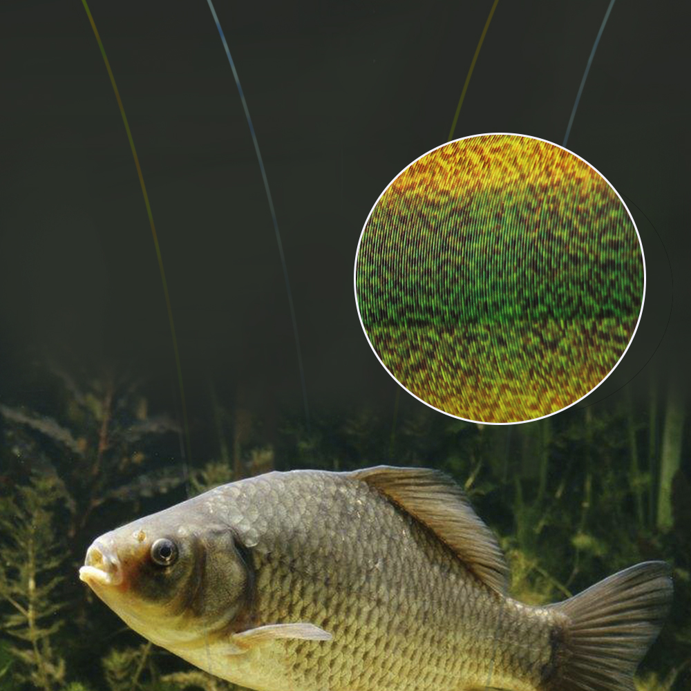 FTK 300M Invisible Fishing Lin - Ice Fishing Line ulasan dan harga